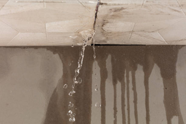 Professional Sewage Cleanup technician working in Elk, WA